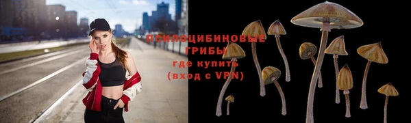винт Абаза