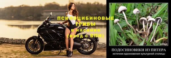 гашиш Алзамай