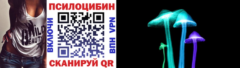 hydra ONION  даркнет сайт  Никольск  Галлюциногенные грибы Psilocybe 